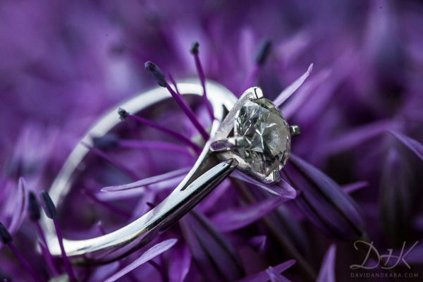 Guelph Wedding Photographer